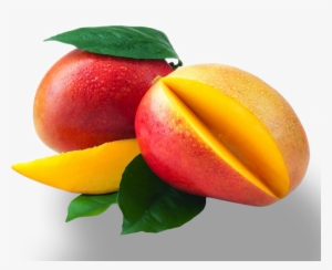 mangoes - lorann mango flavoring 1 dram