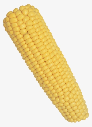 Free Png Corn Png Images Transparent - Corn On The Cob Png