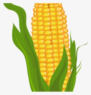 Corn Clipart Corn Clipart Free Corn Clipart Prints - Clip Art Of Corn