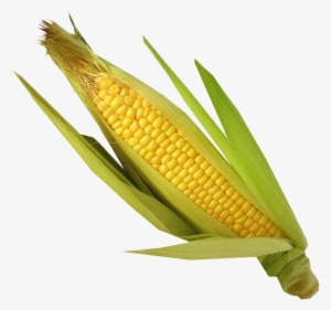 Spinach Corn - Maize