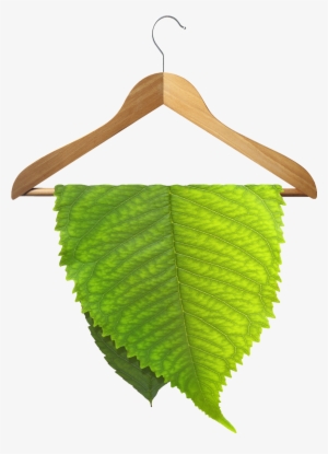 Environmentally Friendly Dry Cleaning - Eco Friendly Dry Cleaning