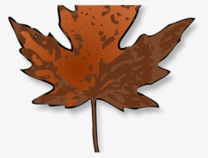 Maple Leaf Clipart Dry Leaf - Maple Leaf Clip Art
