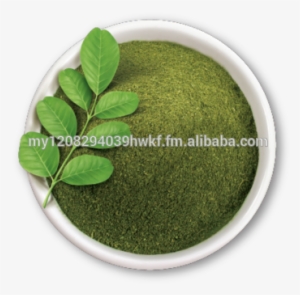 Moringa Dry Leaves And Powder - Moringa Logo Png
