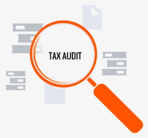 Tax Audit Services - Audit & Assurance Services Png