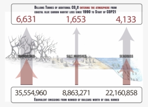 102,221,356 Trips Around The World - Snow
