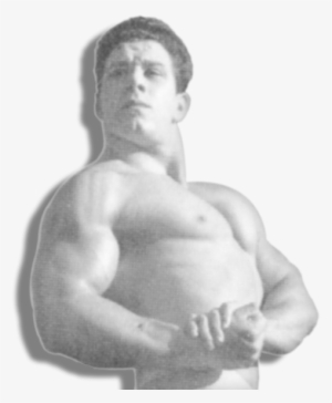 Sign Me Up - Barechested