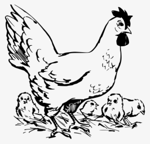 B&w Clipart Hen - Chickens Clipart Black And White