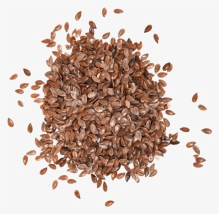 Flax Seeds Flax Seeds - Linseed Png