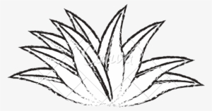 Leaves Drawing At Getdrawings - Plant Sketch Png