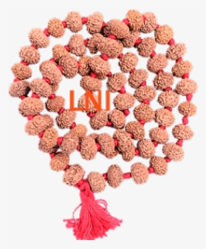 Bead