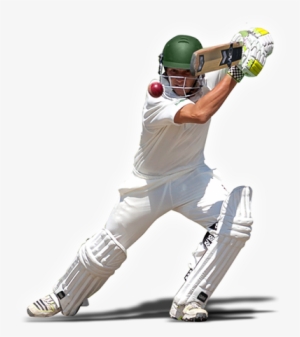 school of cricket - cricket players images png