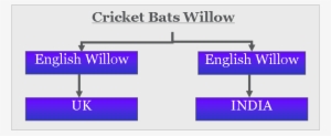 Cricket Bats Willow Type - English Willow Bat Making Trees