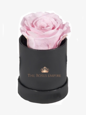 Single Rose Box