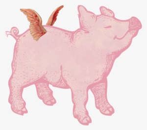 Posts About Pig Written By Gunnvor Karita - Pig With Wings Png