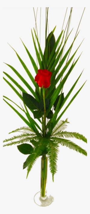 Long-stemmed Single Rose - Crown Of Thorns