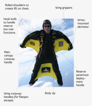 Wingsuit Design - Wing Suit
