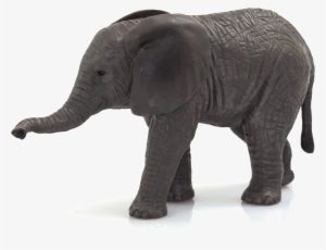 Animal Planet - African Elephant Calf
