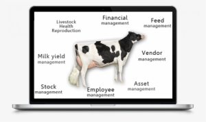 End To End Management Software - Dairy Cow