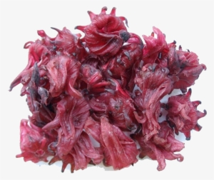 Hibiscus, Known As “sour Tea” , A Delicious And Refreshing - Hibiscus Flower Dry Png