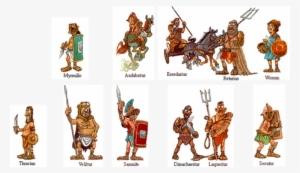 Picture - Types Of Gladiator