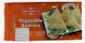 Spring Home Vegetable Samosa