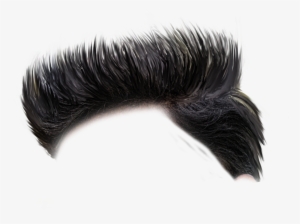 Hair Png