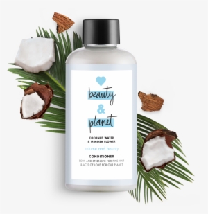 Love Beauty And Planet Coconut Shampoo