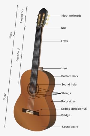 Acoustic Guitar Parts - Guitar Parts In French
