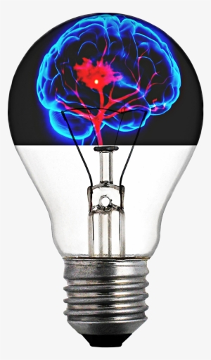 Com/en/light Bulb Brain - Normal Bulb
