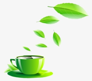 Shop Now - Green Cup Clipart Png