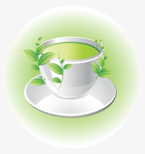 Greentea Green Tea Cup Teacup Cuptea شاي اخضر شاي اخضر - Tea