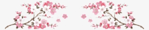 960200 W=960&h=200 - Cherry Blossoms Border Png