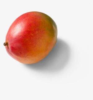 Mango - Did Mangos Originate