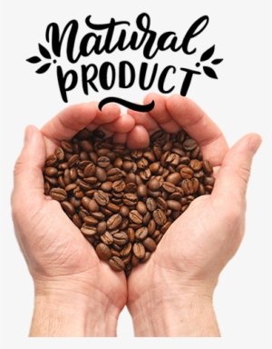 Bean To Cup Coffee Beans For Bean To Cup Machines Loving - Coffee Bean Hand Png