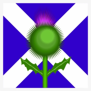 Scottish Thistle And Flag By @kevie, The Two National - Scotland Flag And Thistle
