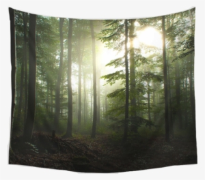 Nature Decor, Wall Decor, Dawn Tapestry, Beautiful - Black Forest Germany Trails