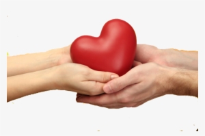 Heartinhands-638x425 - Heart