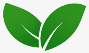 Diet - Eco Green Leaf Png