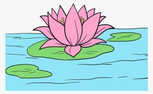 How To Draw Lotus Flower - Lotus Flower Drawing