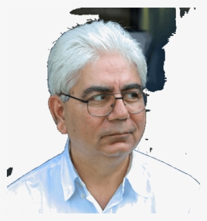 Image Of Predhiman Krishan Kaw - Professor