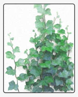 vines, climbing plant blanket - canvas