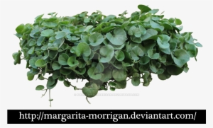 9 Image, P > - Green Balcony Plants Png