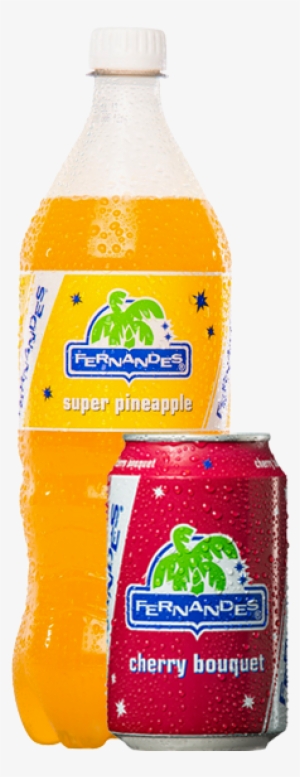 Pop - Fernandes Drink