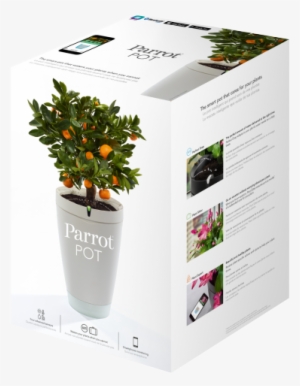 Surround Yourself With Beautiful Plants - Parrot Flower Power Self-watering Pot And Plant Sensor
