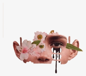 Splice Adam Hale