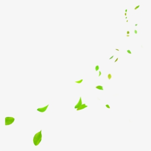 Green Leaves Falling Png