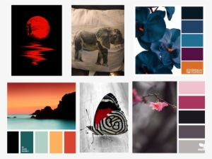 Color Mood Board - Indian Elephant
