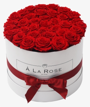 Orb Grand Red Roses - La Rose