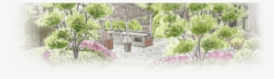 Landscape Design Project Sketch By Exscape Designs - Yard