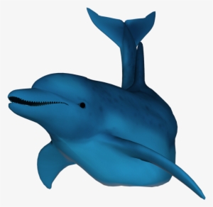 3d Dolphin Png